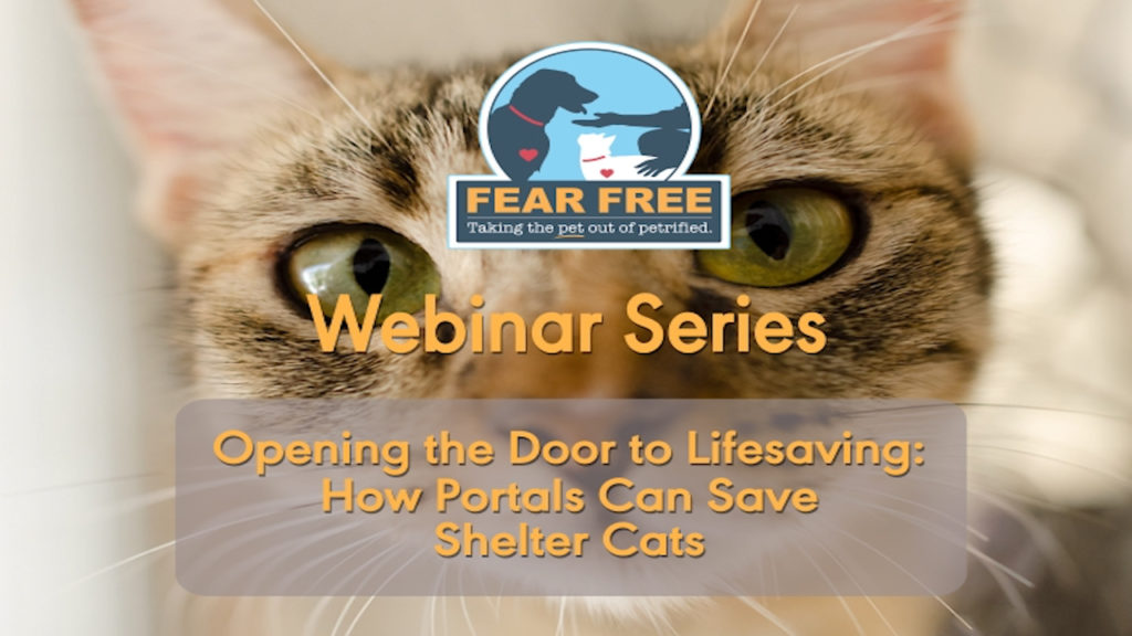 Opening the Door to Lifesaving: How Portals Can Save Shelter Cats