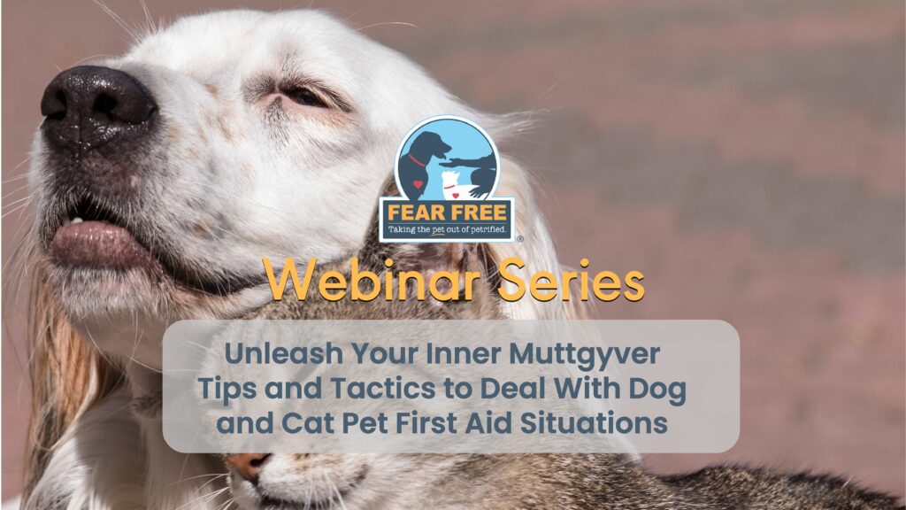 Unleash Your Inner Muttgyver: Tips and Tactics to Deal With Dog and Cat Pet First Aid Situations