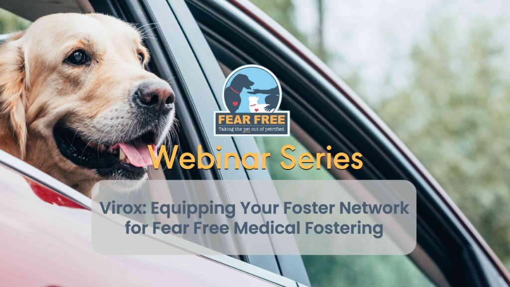 Virox: Equipping Your Foster Network for Fear Free Medical Fostering