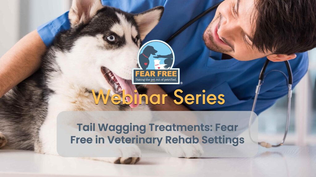 Tail Wagging Treatments: Fear Free in Veterinary Rehab Settings