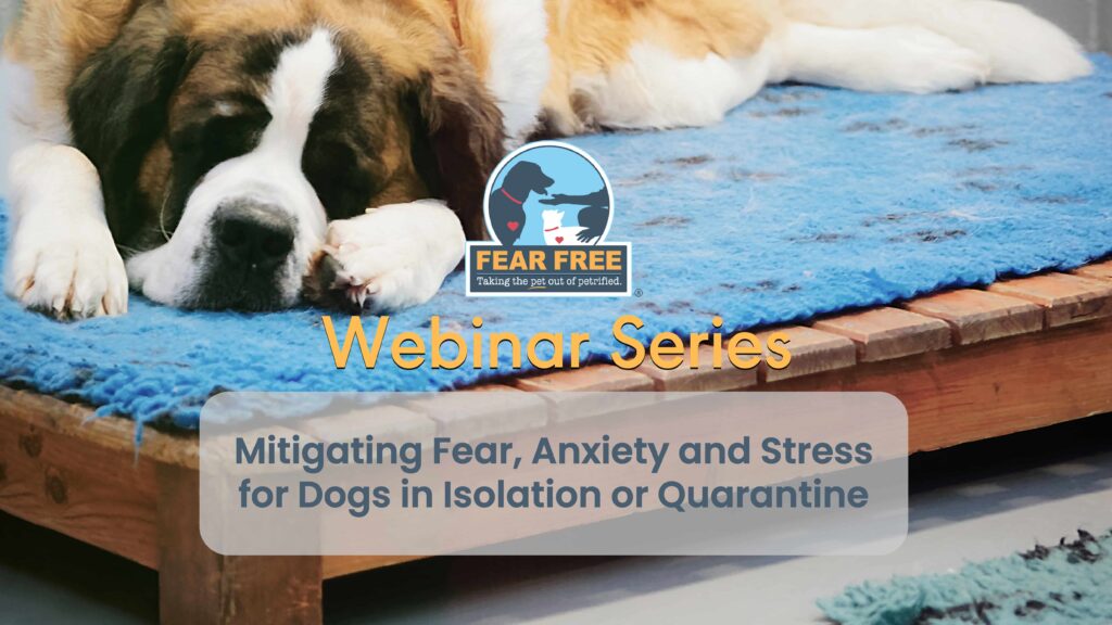 Mitigating Fear, Anxiety and Stress for Dogs in Isolation or Quarantine