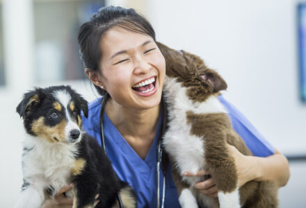 vet or vet tech laughing with dogs