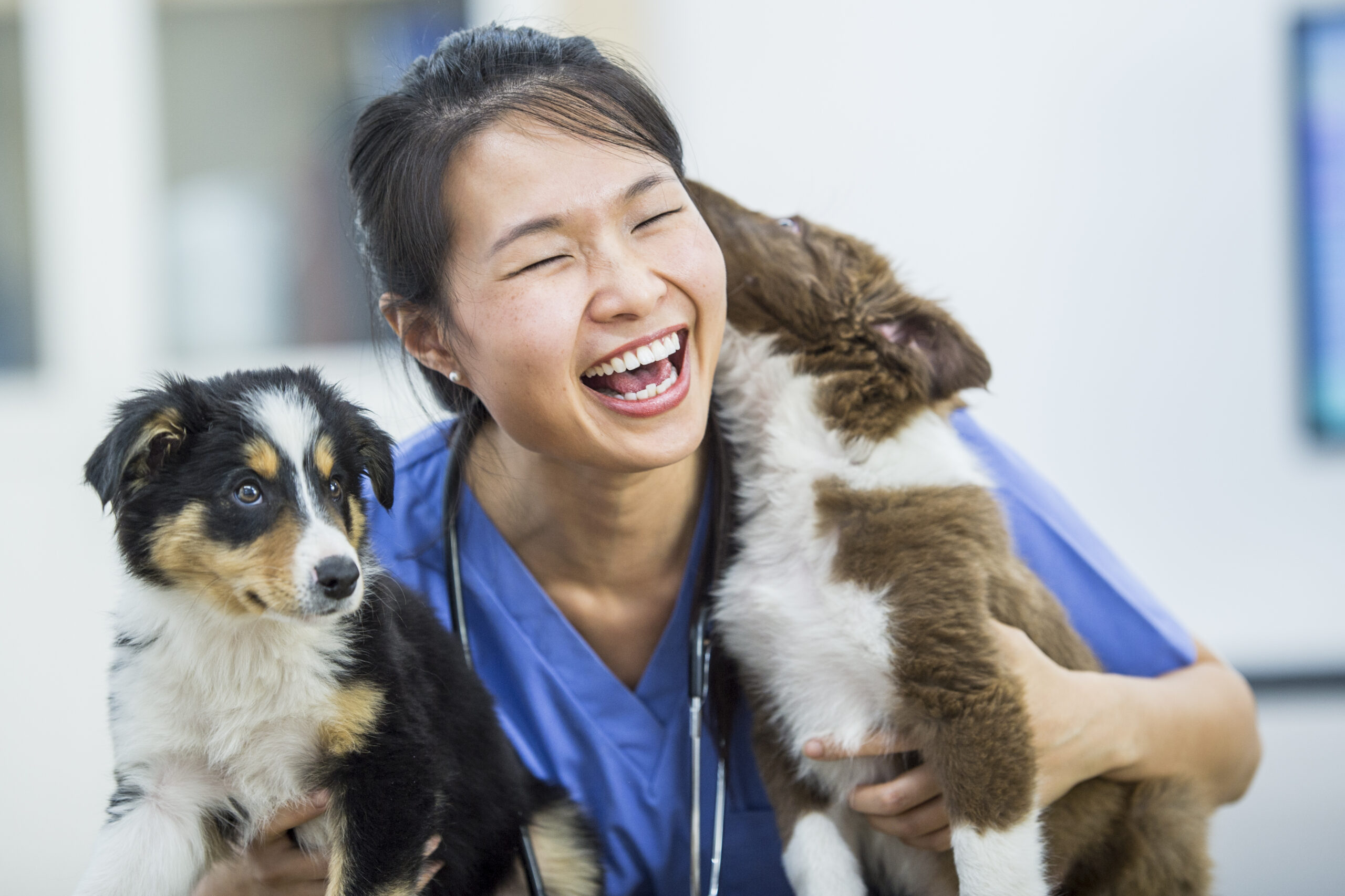 Ways to Appreciate Veterinary Technicians Now and Year-Round