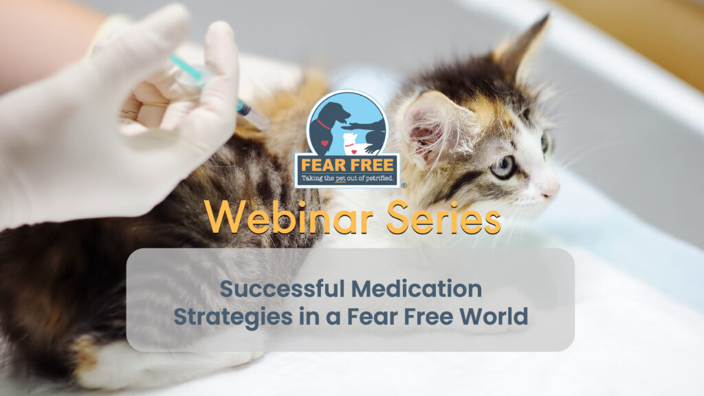 Successful Medication Strategies in a Fear Free World