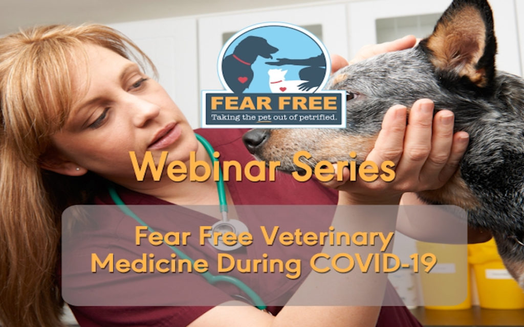 Fear Free Veterinary Medicine During COVID-19