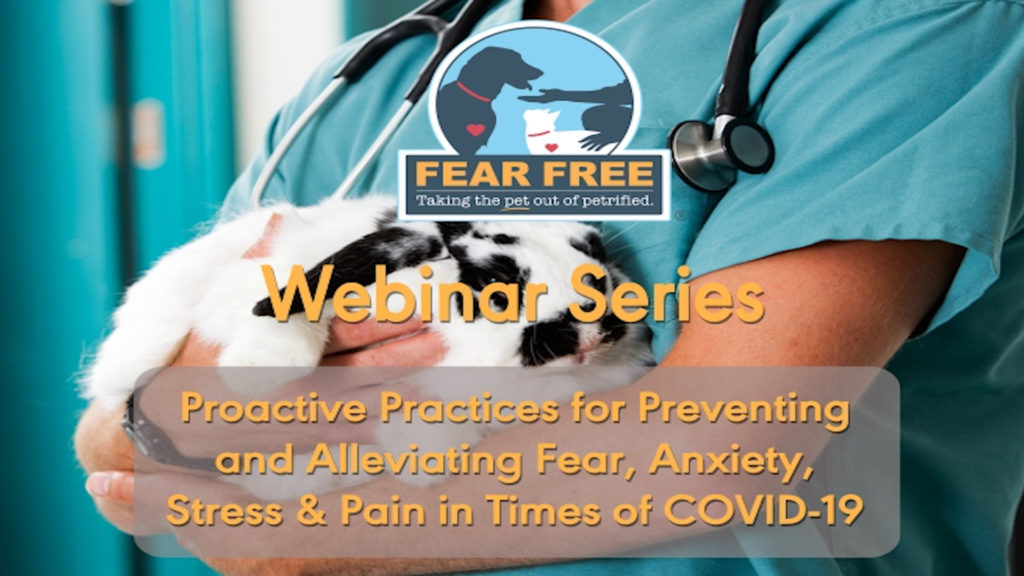 Proactive Practices for Preventing and Alleviating Fear, Anxiety, Stress & Pain in Times of COVID-19