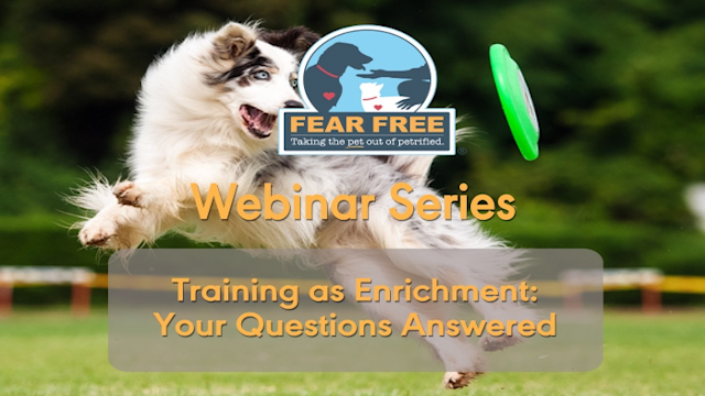 While your favorite groomer is temporarily closed, you may need to do some basic grooming on your dog yourself. This recorded webinar will show you how.