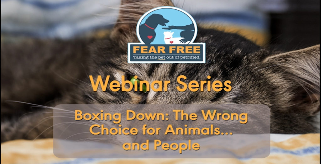 This webinar is only available to Fear Free Members. If you are already a member, please log in now to view.