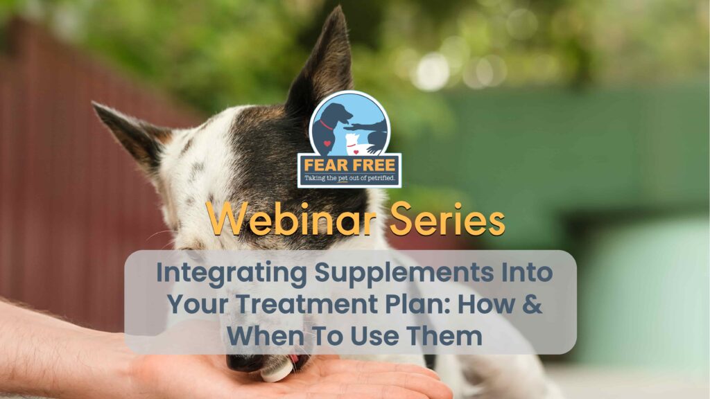 Integrating Supplements Into Your Treatment Plan: How & When To Use Them