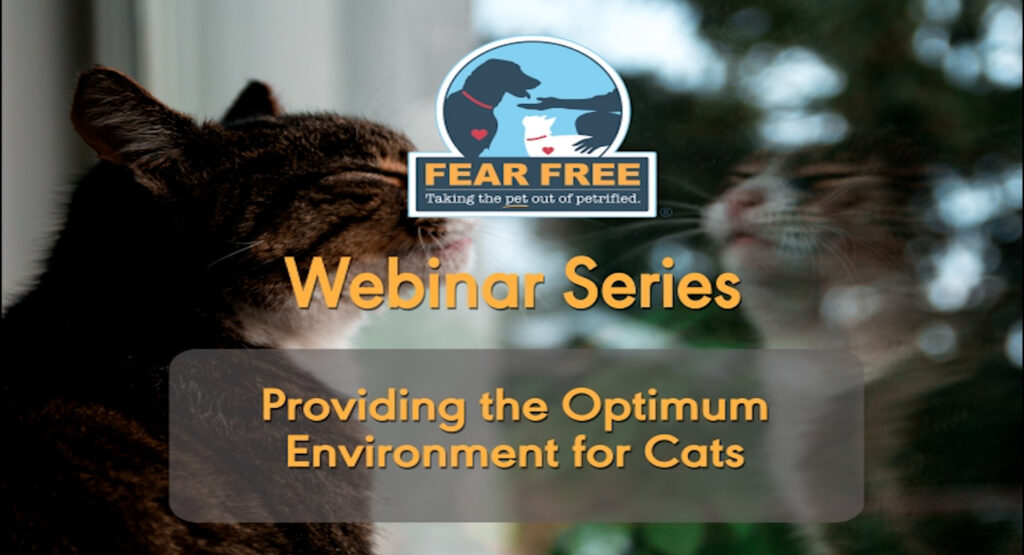 Providing the Optimum Environment for Cats