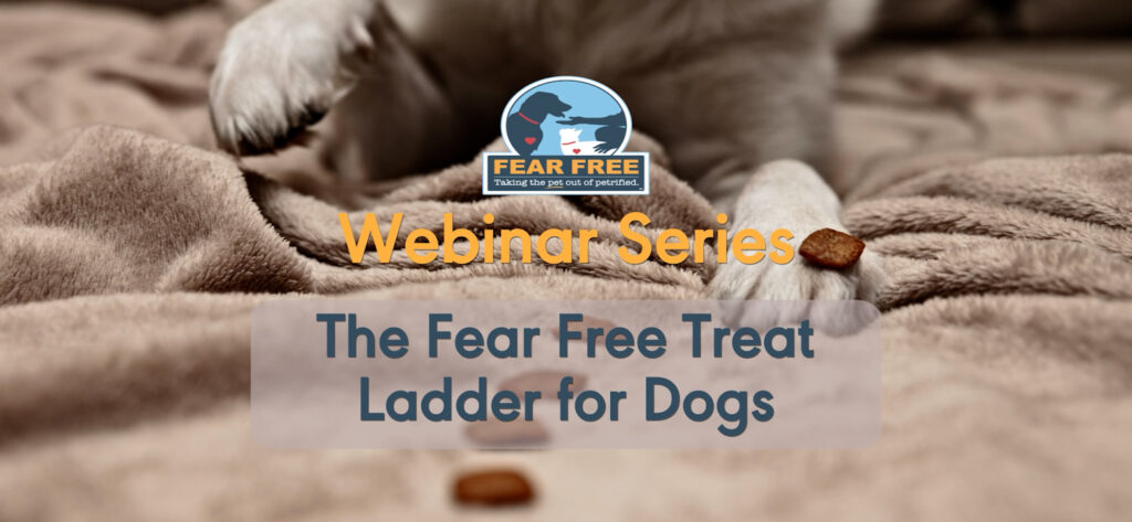 The Fear Free Treat Ladder for Dogs