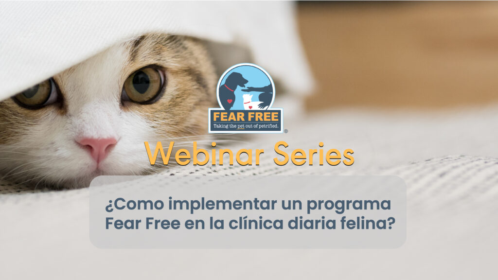 Como Implementar un Programa Fear Free en la Clínica Diaria Felina (Spanish webinar)