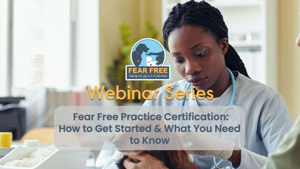 Fear Free Practice Certification:  How to Get Started & What You Need to Know