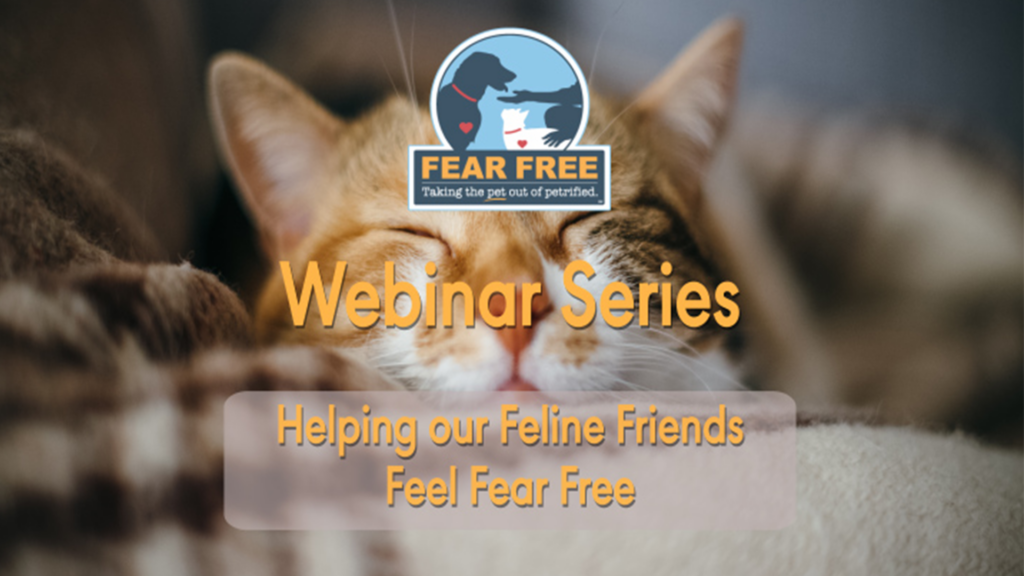 Helping Our Feline Friends Feel Fear Free with Dr. Tony Buffington