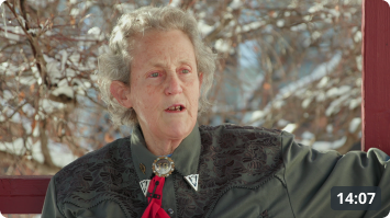 The Fear Free Approach With Temple Grandin